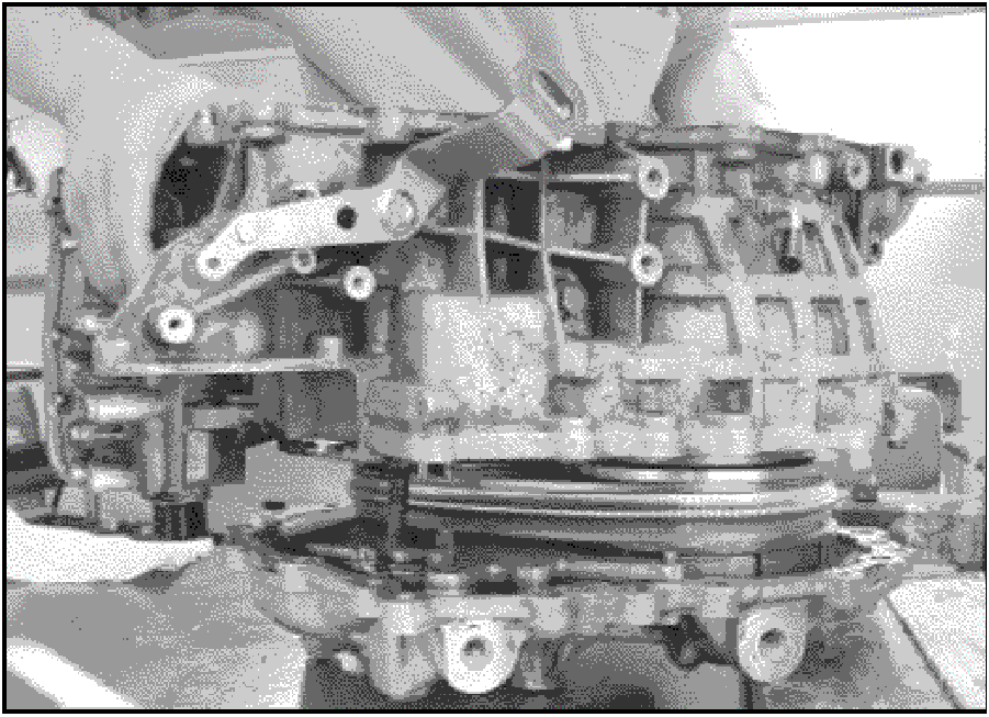 520065657_graphic-text229